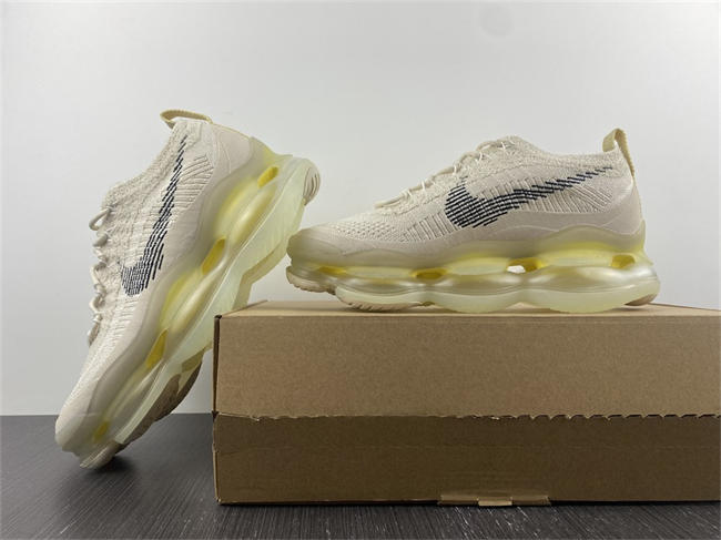 Air Max Scorpion Fk 2022 DJ4701-001