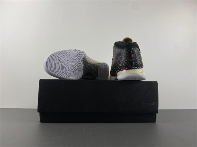 Titan x Air Jordan 23  CZ6222-001