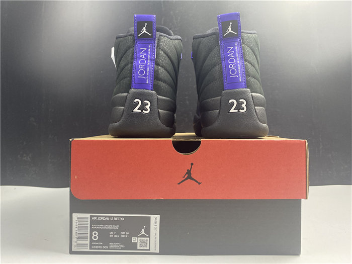 Jordan 12 Retro Black Dark Concord CT8013-005