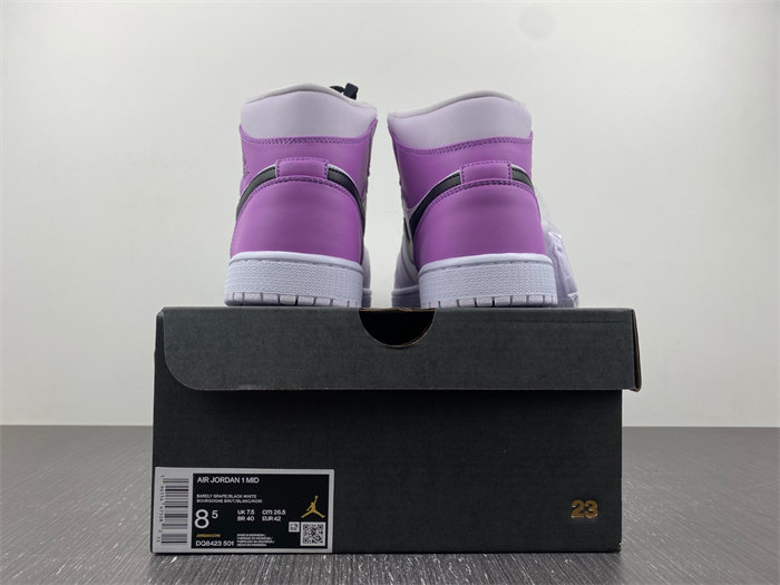 Jordan 1 Mid SE DC9517-600
