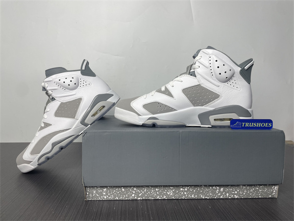 Jordan 6  Cool Grey CT8529-100