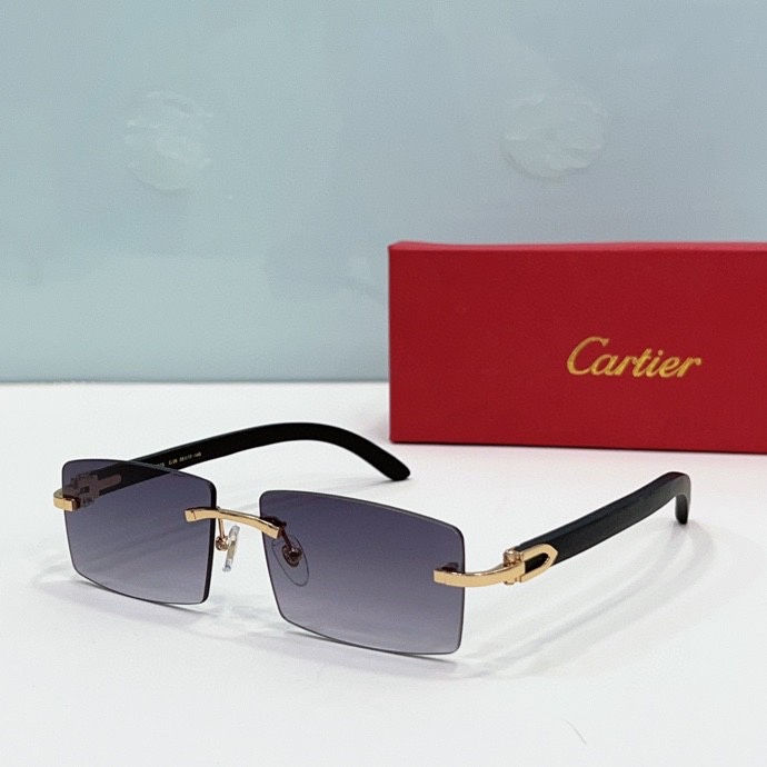 Cartier Glasses