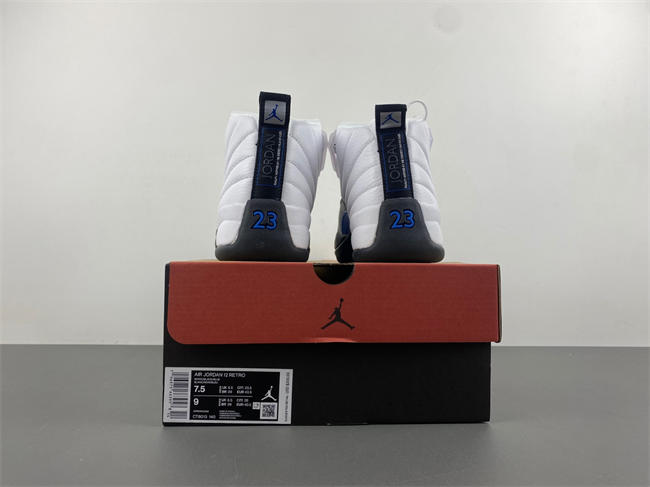 Air Jordan 12 CT8013-140